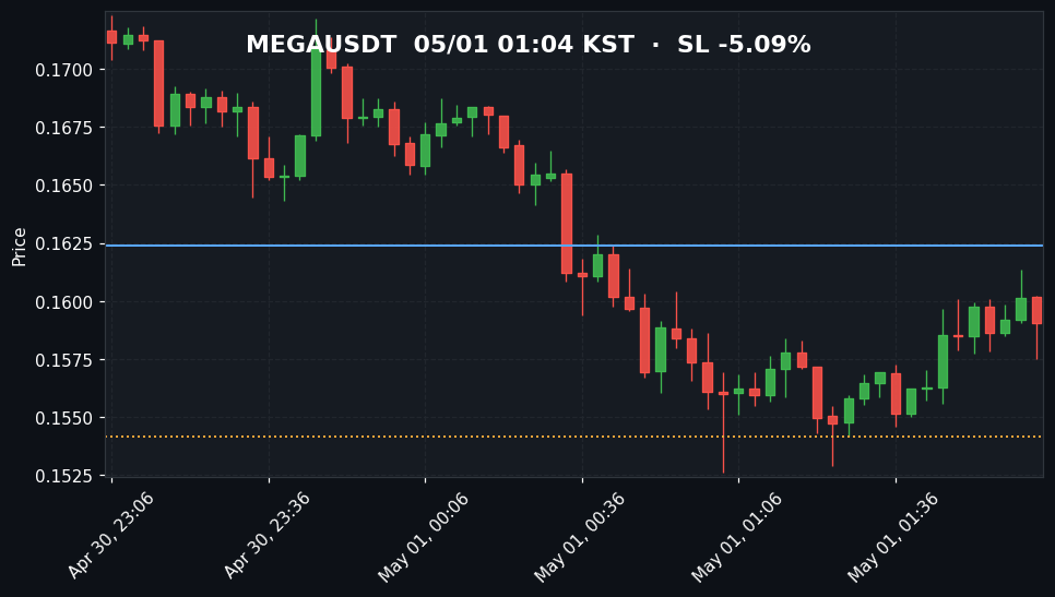 MEGAUSDT 3분봉