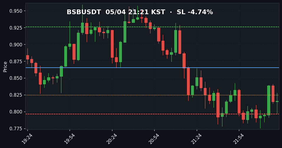 BSBUSDT 3분봉